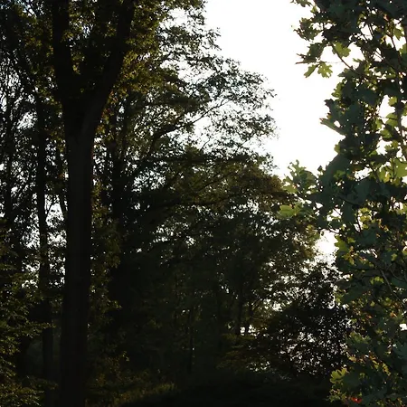 Schlafgut In Hotel 3*